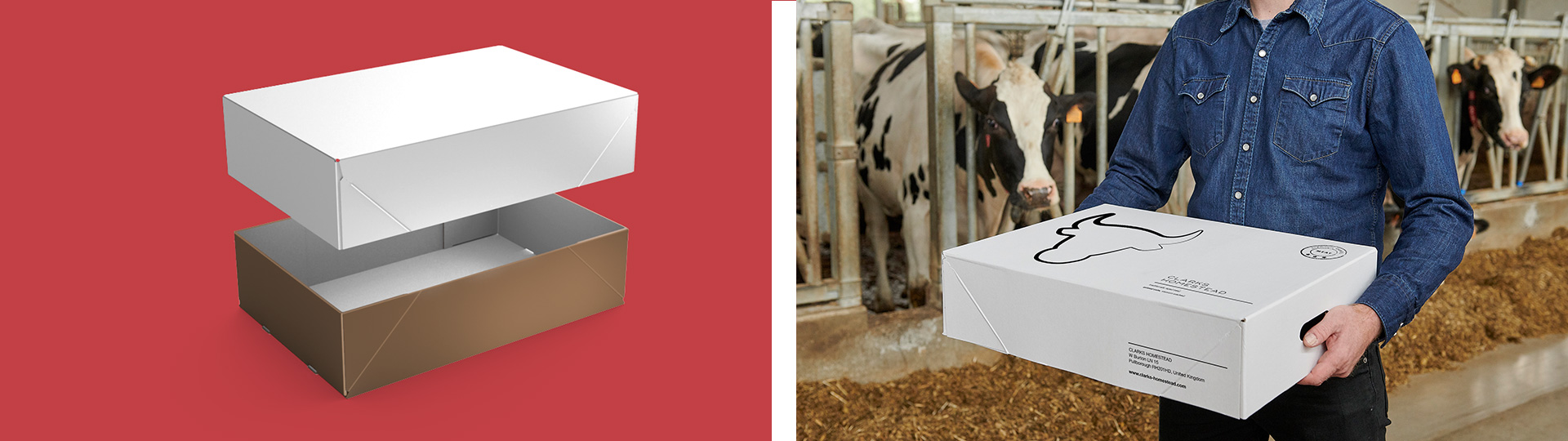 poultry boxes cardboard