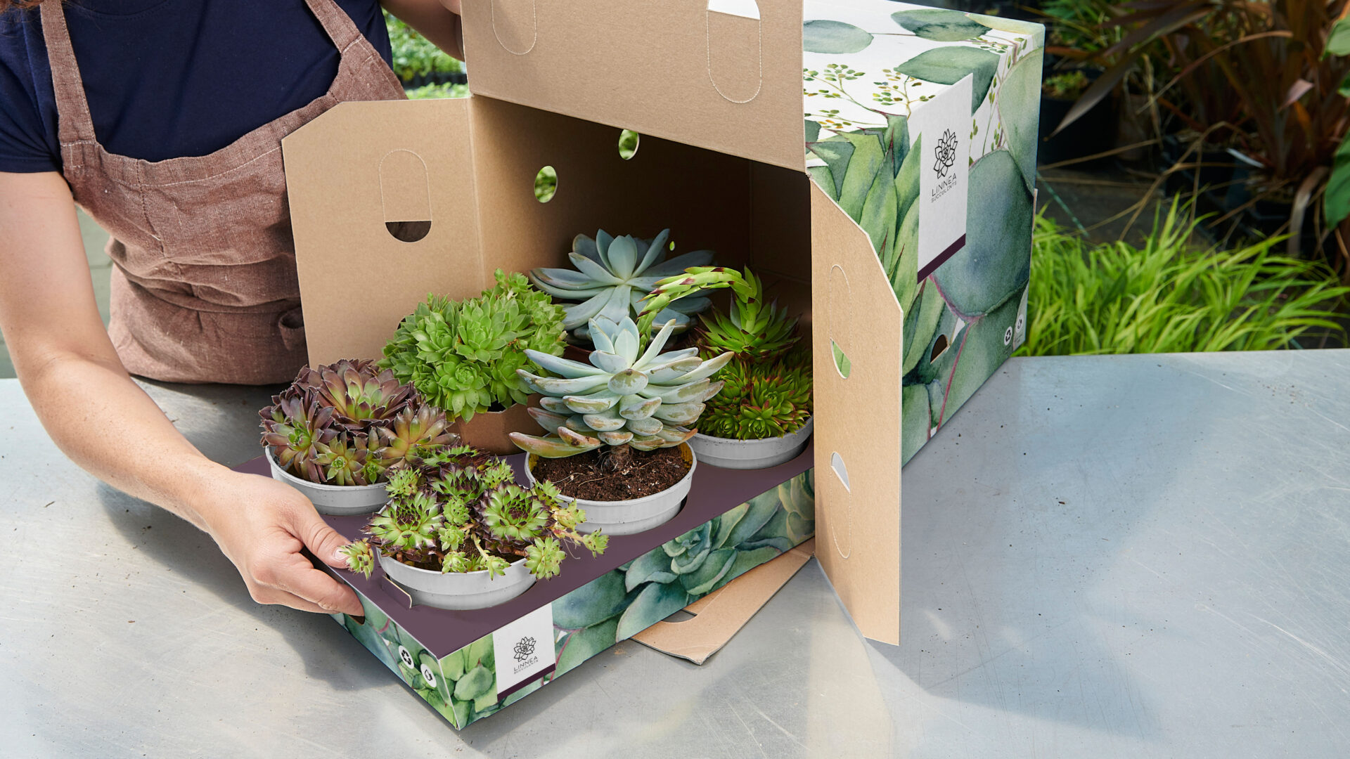 Solidus-Solutions-Sustainable-flower-tray-and-shipping-box